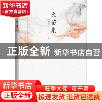 正版 火苗集 宫蔚国 中国言实出版社 9787517136866 书籍