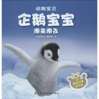 音像企鹅宝宝滑来滑去泰特尔鲍姆