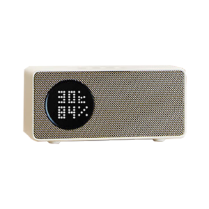 泰迪信 TDSAI606 智能音箱