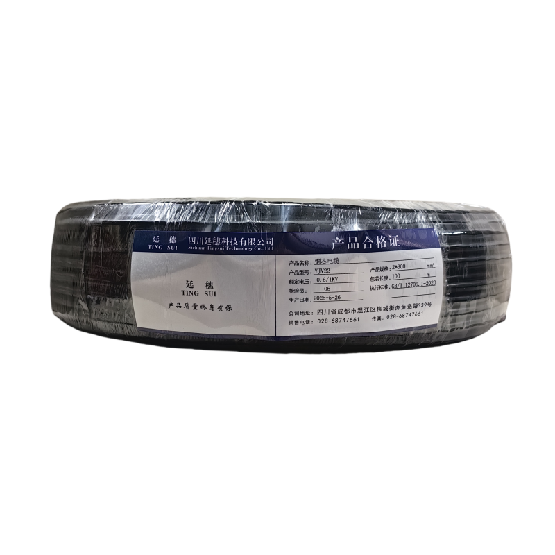 廷穗(TINGSUI)铜芯电缆YJV22-0.6/1KV-2*300 米