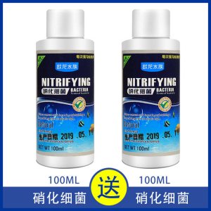 硝化细菌硝化菌细菌养鱼用品鱼缸净水剂净化剂鱼药水质稳定剂