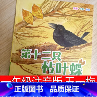 第十二只枯叶蝶 注音版 [正版]第十二只枯叶蝶 王一梅 注音版 一年级二年级三年级课外书老师阅读书籍儿童带拼音读物少儿图