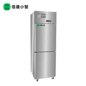 佰晟小智 立式风冷冷柜 SFA-D0002DF 立式上下两门风冷冷藏柜(冷藏2-8℃)