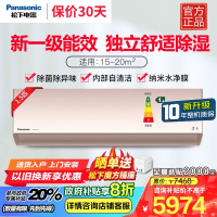 松下(panasonic)1.5匹直流变频冷暖20倍纳诺怡除菌1级内部自清洁除湿壁挂空调挂机 一级能效 D13KQ10N