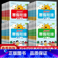 [单本]数学青岛版六三制 小学二年级 [正版]2024新版阳光同学寒假衔接一年级二年级四年级五六年级三年级上册下册语文数