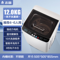 志高12公斤洗衣机家用全自动小型宿舍波轮出租房用节能省电