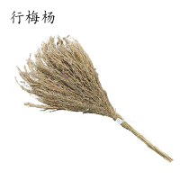 行梅杨 竹扫把 4斤 把
