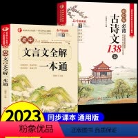 [推荐2册]必背古诗文+初中文言文 初中通用 [正版]初中必背古诗文138篇文言文全解一本通2024人教版七八九年级必背
