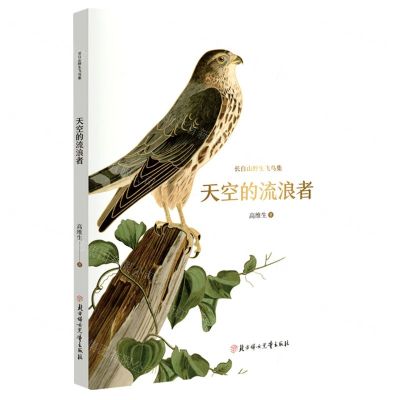 [N]天空的流浪者/长白山野生飞鸟集-9787558570346
