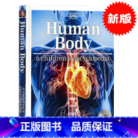 DK人体图解儿童百科(新版) [正版]DK儿童百科全书艺术英文原版 Art A Children's Encyclo
