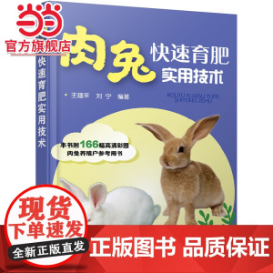 肉兔快速育肥实用技术