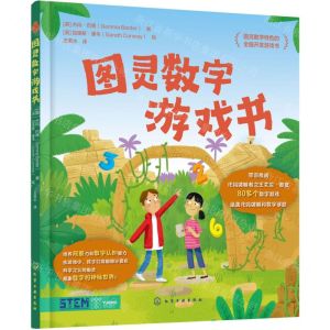 [N]图灵数字游戏书-9787122448330