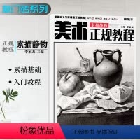 [正版]敲门砖美术正规教程素描静物零基础入门到精通儿童成人美术临摹素描基础局部整体结构到明暗美术绘画高艺联考书