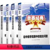 代数+几何+数论+组合问题 共四册 初中通用 [正版]奥赛经典初中数学中的代数几何组合数论问题竞赛中的秘密名师讲堂奥林匹