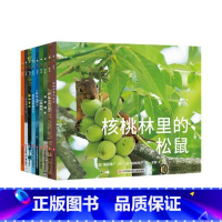 《嘘,你看见了吗?》共9本3-8岁 [正版]童书动物百科绘本 《嘘!你看见了吗》 共9本3-8岁儿童书籍小班中班大班幼儿