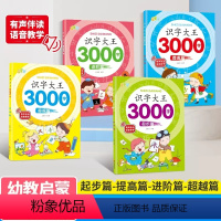 [全套4册]识字大王3000字 [正版]会说话的识字大王3000字 幼儿园小学一年级发声书字卡 幼儿早教启蒙儿童注音版