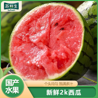 [苏鲜生]新鲜2k西瓜 6.5-7斤 2个
