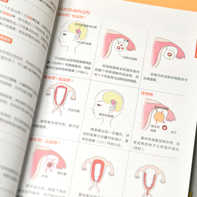 醉染图书图解女医学速查全书 全新升级版9787571325749