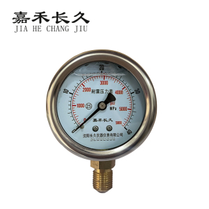 嘉禾长久 耐震压力表检测型 YTN40 块