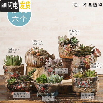 三维工匠多肉花盆陶瓷透气大口径家用创意粗陶肉肉植物小盆器 复古带花随机(6个) 小花盆容器