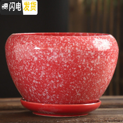 三维工匠花盆陶瓷大号特大带托盘绿萝创意家用吊兰个性多肉小花盆 S1苹果雪花红点单个 特大花盆容器