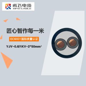希飞牌 YJV-0.6/1KV-2*50mm² 铜芯低压电缆 元/米 联系客服 定制商品 黑色 YJV-0.6/1KV-2*50mm²