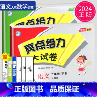 [正版]2024版亮点给力大试卷二年级下册语文数学二下全套人教版RJ苏教版SJ江苏小学2年级下学期同步训练单元测试卷期中