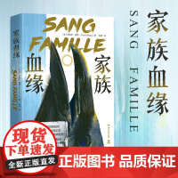 家族血缘 法国悬疑大师米歇尔·普西出道处女作非常私人的放飞想象力的一部作品 可读性复杂性人性的善恶 外国长篇悬疑小说