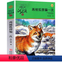 再被狐狸骗一次 [正版]完整版再被狐狸骗一次全本沈石溪的图书籍动物小说大王品藏系列小学生四五六年级儿童文学作品珍藏大全全