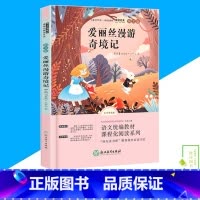 默认规格 [正版]快乐读书吧六年级下爱丽丝漫游奇境刘易斯卡罗尔著