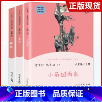 [6上]全套3本 [正版]快乐读书吧六年级上册下册全套爱的教育小英雄雨来童年鲁滨逊漂流记爱丽丝漫游奇境汤姆索亚历险记小学