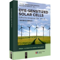 音像染料敏化太阳电池戴松元著