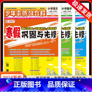 3本❤❤语文+数学+英语[人教版] 小学三年级 [正版]2023少年素质教育报寒假巩固与先修小学一二年级三年级四五六年级