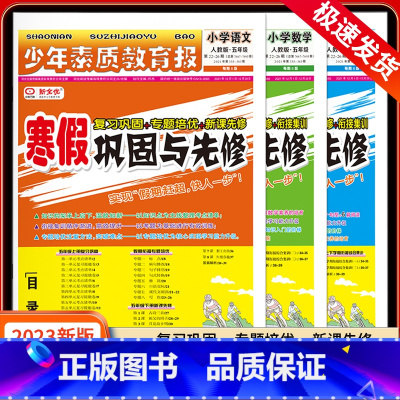 3本❤❤语文+数学+英语[人教版] 小学三年级 [正版]2023少年素质教育报寒假巩固与先修小学一二年级三年级四五六年级