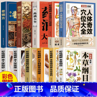 [彩绘图解]本草纲目养生中草药 [正版]彩绘图解系列中医百科大全 全11册 本草纲目 按摩拔罐刮痧药酒穴位偏方中药材 中