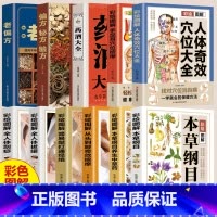 [彩绘图解]本草纲目养生中草药 [正版]彩绘图解系列中医百科大全 全11册 本草纲目 按摩拔罐刮痧药酒穴位偏方中药材 中