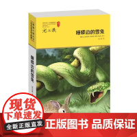 正版沈石溪动物小说系列 睡蟒边的雪兔单本9-12-15岁儿童文学动物励志成长小说中小学生三四五六年级课外阅读故事书籍