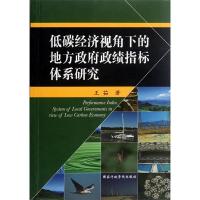 正版新书]低碳经济视角下的地方政府政绩指标体系研究王茹 著97