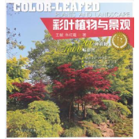 音像彩叶植物与景观王钺,朱红霞著