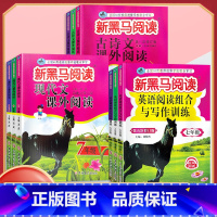 现代文阅读 八年级/初中二年级 [正版]2024新版新黑马阅读 现代文课外阅读 初中七7八8九9年级上下册通用 初中语文