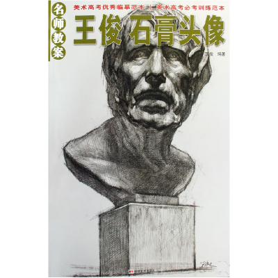 正版新书]名师教案:王俊石膏头像王俊9787538632934