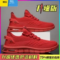 聚范本命年红色男鞋2024新款夏季透气薄款网面网鞋男士跑步休闲运动鞋