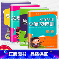 语数英科 4册 小学通用 [正版]小学毕业总复习特训 语文数学英语科学4册可选 人教版同步 小升初语数英科专项复习真题训