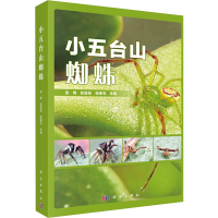 音像小五台山蜘蛛张锋,彭进友,张保石 编