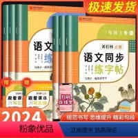 [一年级下]同步字帖+必背古诗文+亲子作品纸 小学通用 [正版]2024版书山有林正楷控笔训练字帖金陵书山有林小学生语文