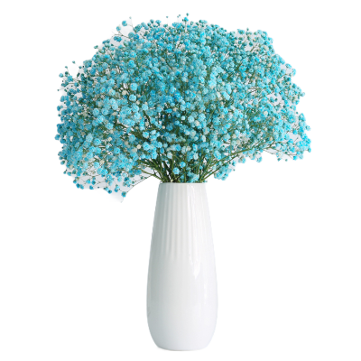 干花束满天星勿忘我鲜花真花干花装饰摄影道具花朵台面花瓶-蓝色满天星+白色陶瓷花瓶