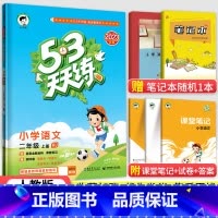 53天天练二年级上册语文(人教版) 小学二年级 [正版]2023秋新版 小学53天天练二2年级上册下册同步训练语文数学全