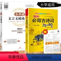 [正版]新版小升初文言文模块专训小学生古诗词75+80首 小学五六年级文言文阅读与训练走进名校语文阅读理解专项训练书古