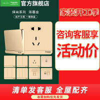 施耐德电气 开关插座 绎尚薄暮金色 电源插座86型面板 家用墙壁式 五孔一开弱电 插座 电视电脑 网插 USB插座 开关