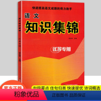 [正版]2024新版超能学典小学语文 知识集锦 江苏版 江苏凤凰美术出版社小学语文知识大全中学生语文基础知识一本小学